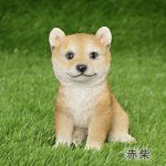 QY-39co 赤柴